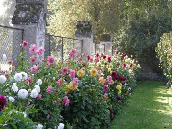 Chateau De Montriou Feneu ภายนอก รูปภาพ