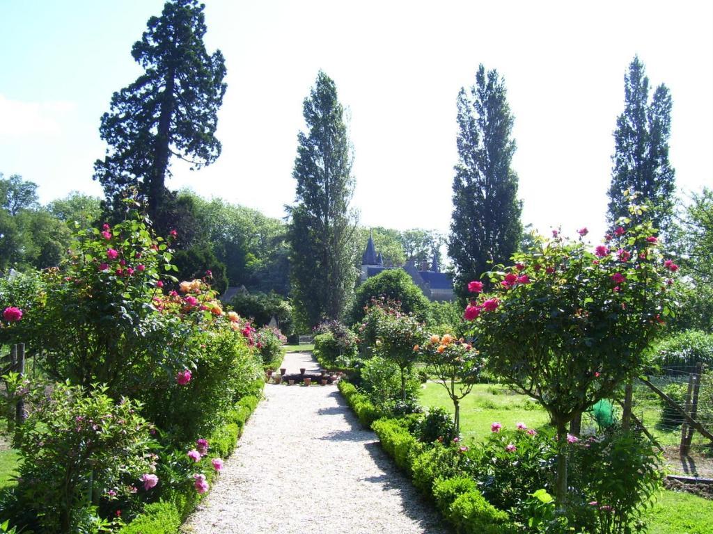 Chateau De Montriou Feneu ภายนอก รูปภาพ